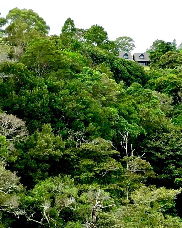 Villa Risco De Hugo à Boquete Extérieur photo